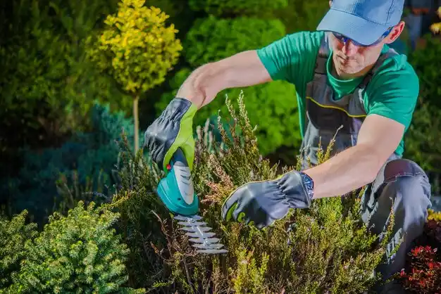 landscaping services Appleton City